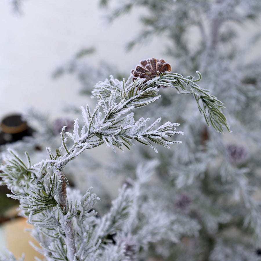 PINE zöld havas dekor műfenyő 120 cm 3D