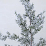 A PINE dekor műfenyő havas hatású, 3D tűlevelű ágainak közeli képe