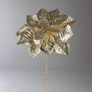 Pezsgőszínű, mű mikulásvirág.