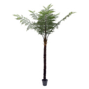 Óriás, 330 cm magas mű serlegpáfrány, fás törzzsel és gazdag zöld lombkoronával, fekete cserépben.”