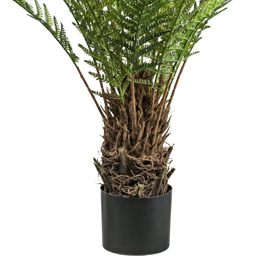 A mű páfrány vastag, fás szárának és gyökeres tövének részlete fekete cserépben.