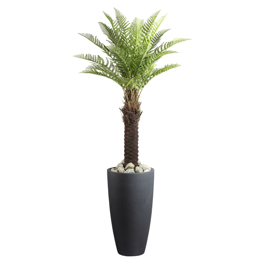 Dekoratív mű dicksonia páfrányfa szürke magas kaspóban, fehér dekorációs kövekkel