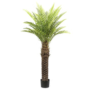 POLYPODIOPSIDA zöld mű dicksonia páfrányfa 160 cm teljes egészében, fekete műanyag cserépben fehér háttér előtt