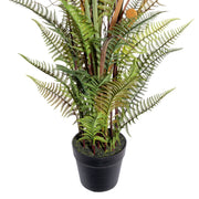 Mű páfrány mix fekete kaspóban, sűrű levélzettel és realisztikus talajréteggel