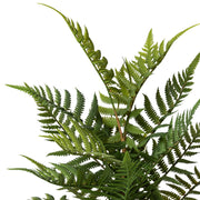 POLYPODIOPSIDA zöld mű páfrány mohalabdában 38 cm