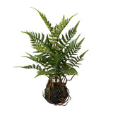 POLYPODIOPSIDA zöld mű páfrány mohalabdában 38 cm