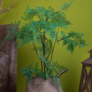 Mű páfrány enteriőrben fonott kosárba helyezve, zöld levelekkel.