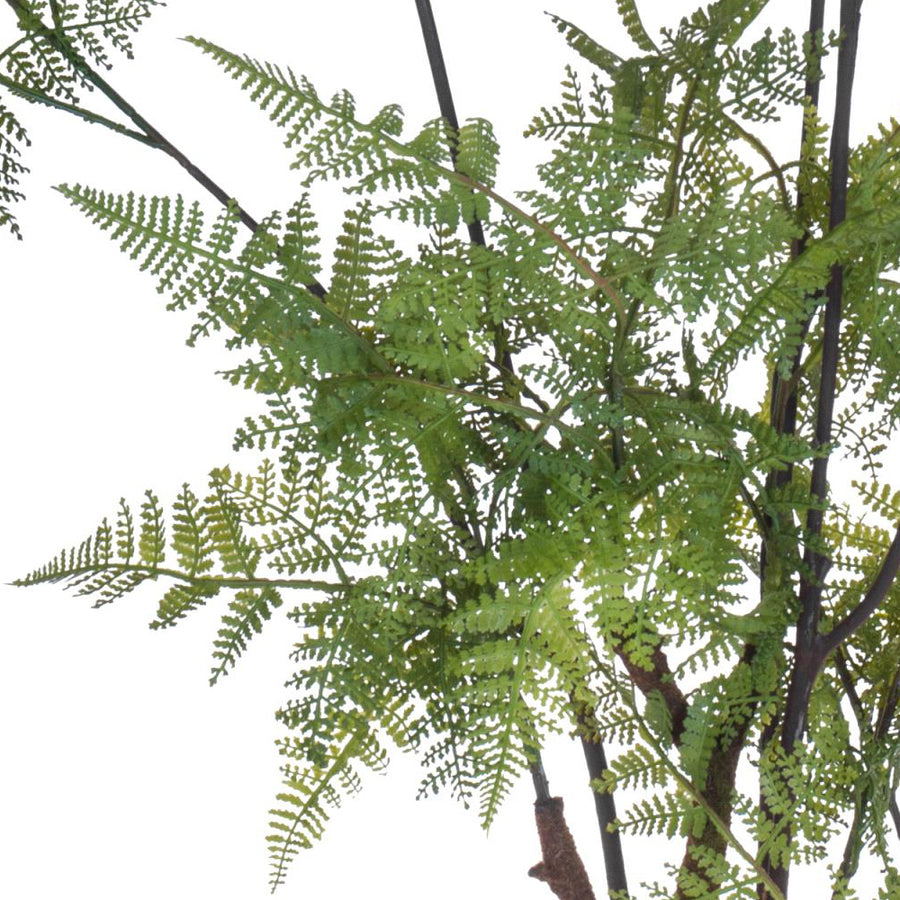 Finom, szabdalt mű páfrány levelek közelről, realista részletekkel.