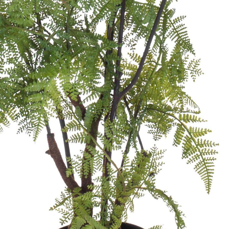 Mű pókláb páfrány szára és levélrészletek fekete cserépben.