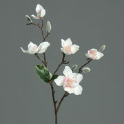 Krém és rózsaszín színű, virágzó magnólia művirág nyílt és rügyező virágokkal.