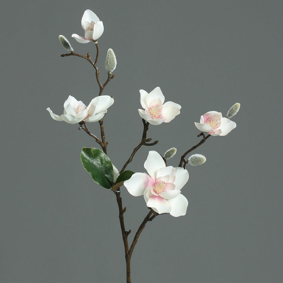 Krém és rózsaszín színű, virágzó magnólia művirág nyílt és rügyező virágokkal.