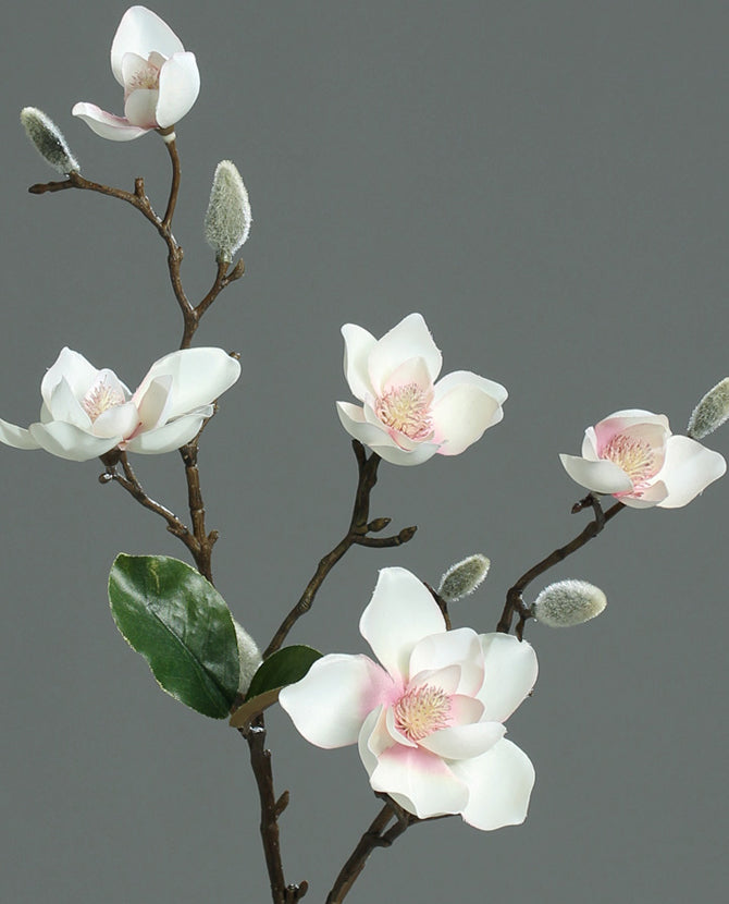 Krém és rózsaszín színű, virágzó magnólia művirág nyílt és rügyező virágokkal.