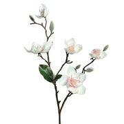 Krém és rózsaszín színű, virágzó magnólia művirág nyílt és rügyező virágokkal.