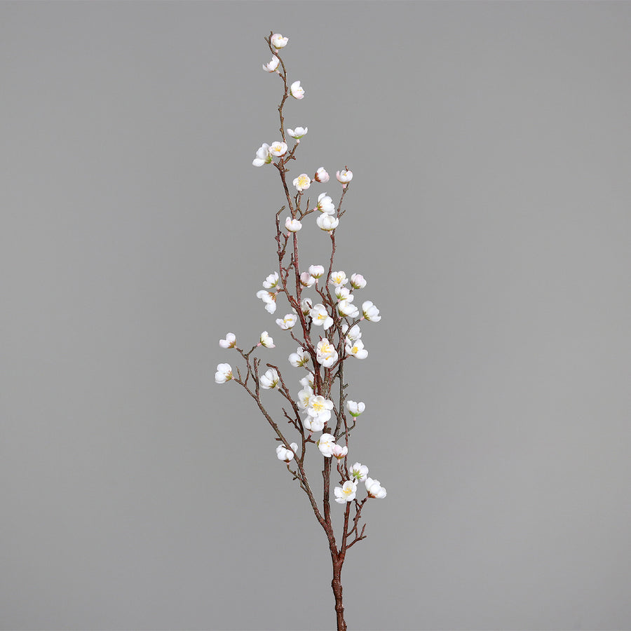 Krémszínű, virágzó, mű cseresznyefa ág.