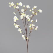 Virágzó, mű cseresznyefa ág, krémszínű nyílt virágokkal, szürke hátterű stúdió fotó.