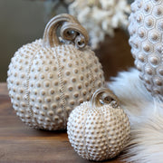 Antik tejeskávészínű, dísztök dekoráció.