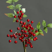 Élethű piros Pyracantha ág részletgazdag bogyókkal