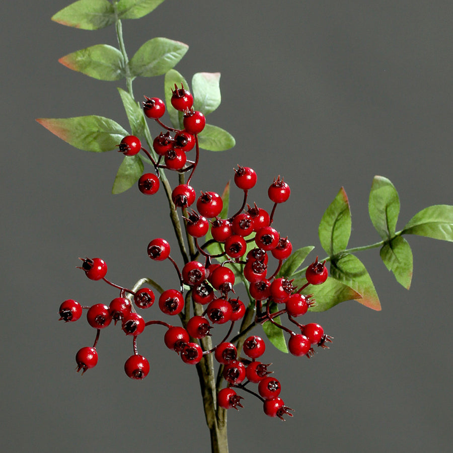 Élethű piros Pyracantha ág részletgazdag bogyókkal