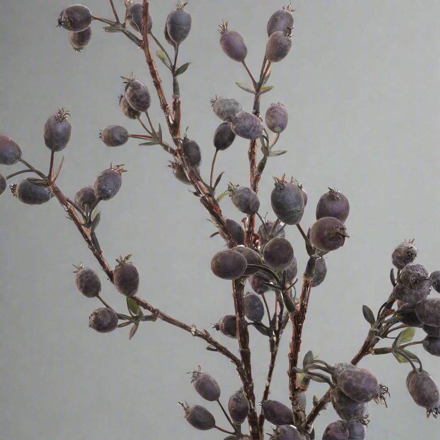 Valósághű mű csipkebogyó ág közeli képe, szürkés-lila színárnyalatú bogyókkal.