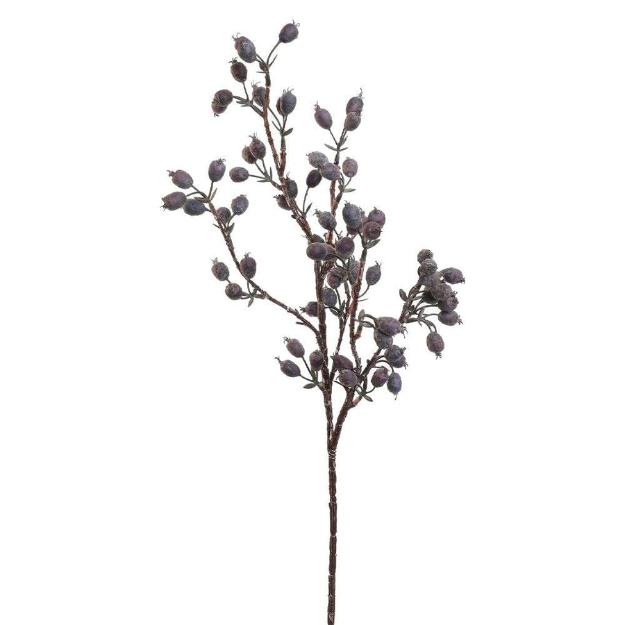 Rosa Canina lila mű csipkebogyó ág 65 cm teljes méretben, kiszáradt hatású bogyókkal.