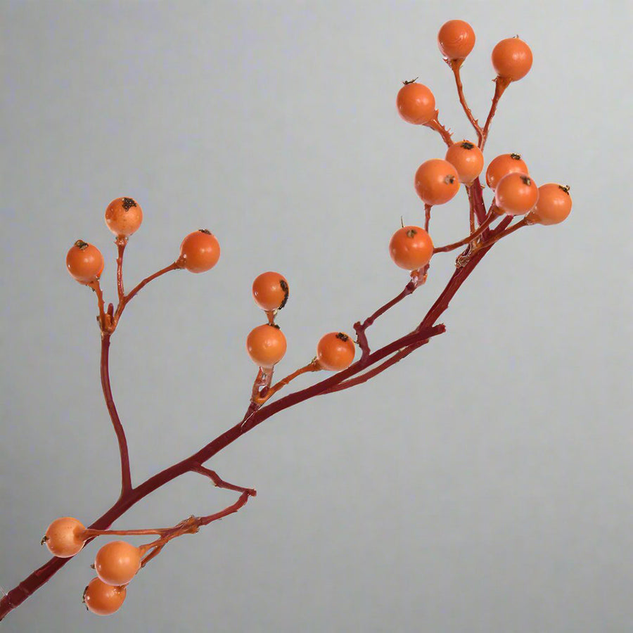 Közelről fotózott narancssárga mű csipkebogyó ág részletgazdag kidolgozással, 135 cm