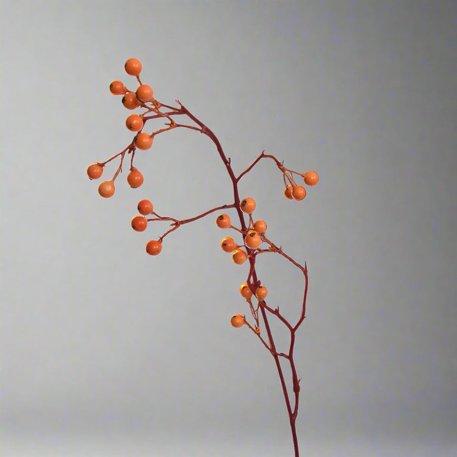 Közelről fotózott narancssárga mű csipkebogyó ág apró termésekkel és barna szárakkal, 95 cm