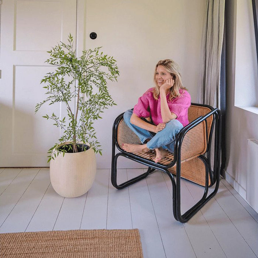 120 cm magas mű ruszkusz cserje világos, modern nappaliban, szék mellett elhelyezve.