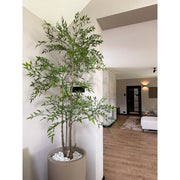 150 cm magas mű ruszkusz világos, minimalista stílusú nappaliban, kaspóban elhelyezve.