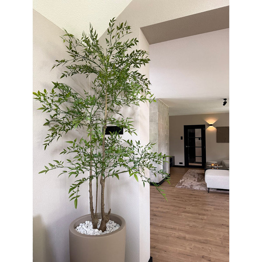 150 cm magas mű ruszkusz világos, minimalista stílusú nappaliban, kaspóban elhelyezve.