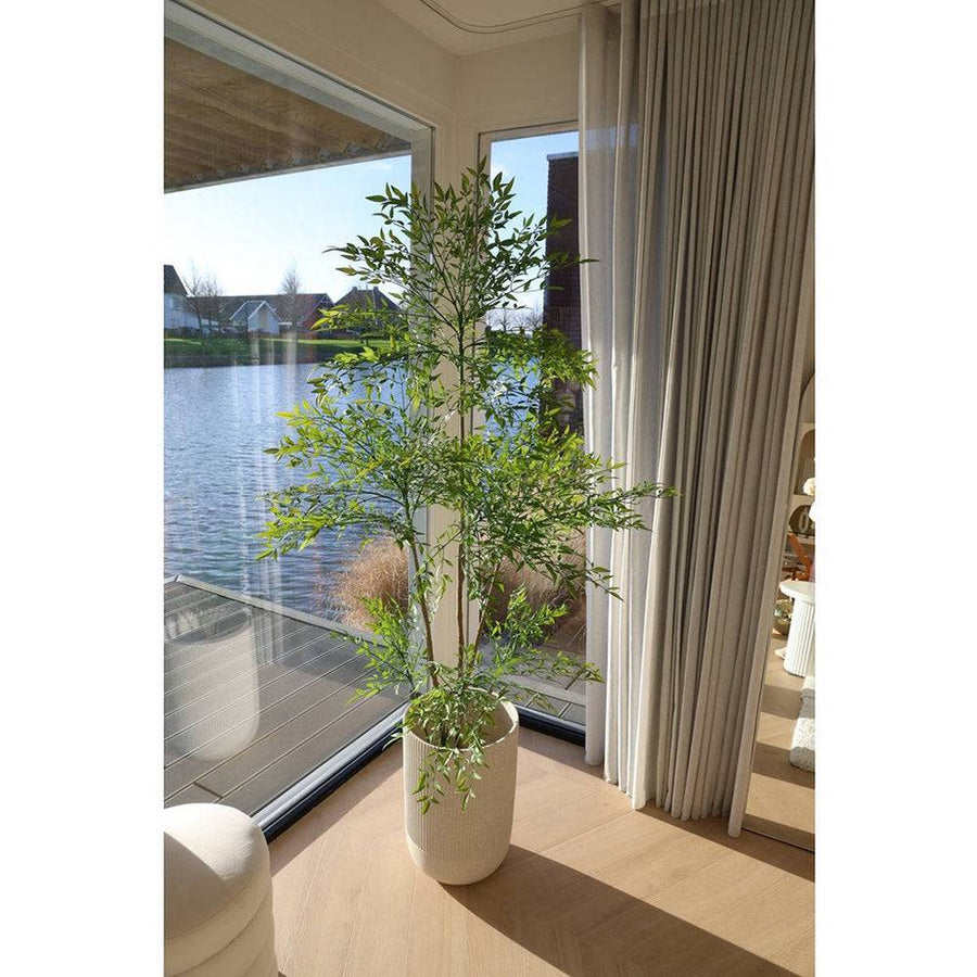 Sarokban elhelyezve: Nappali sarokban álló mű ruszkusz cserje, nagy üvegablak mellett, elegáns dekorációként.