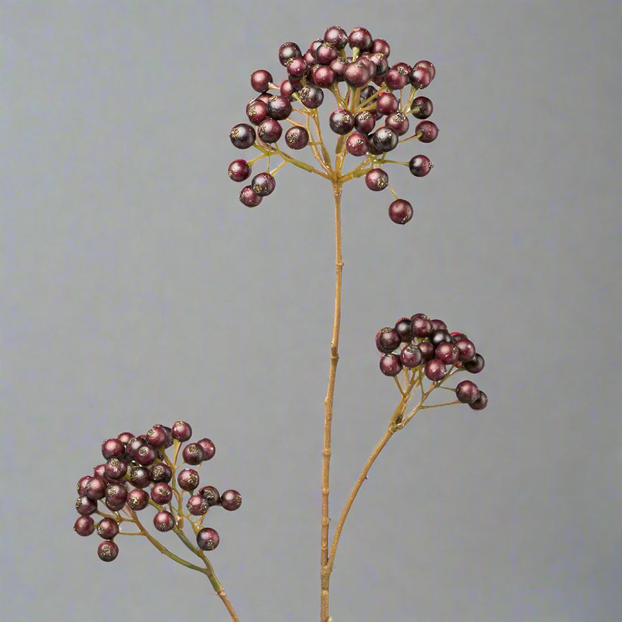 Közelkép a padlizsánszínű bogyókkal díszített mű berkenye ágról