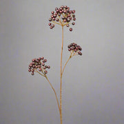 Mű madárberkenye ág padlizsánszínű bogyókkal, szürke háttér előtt