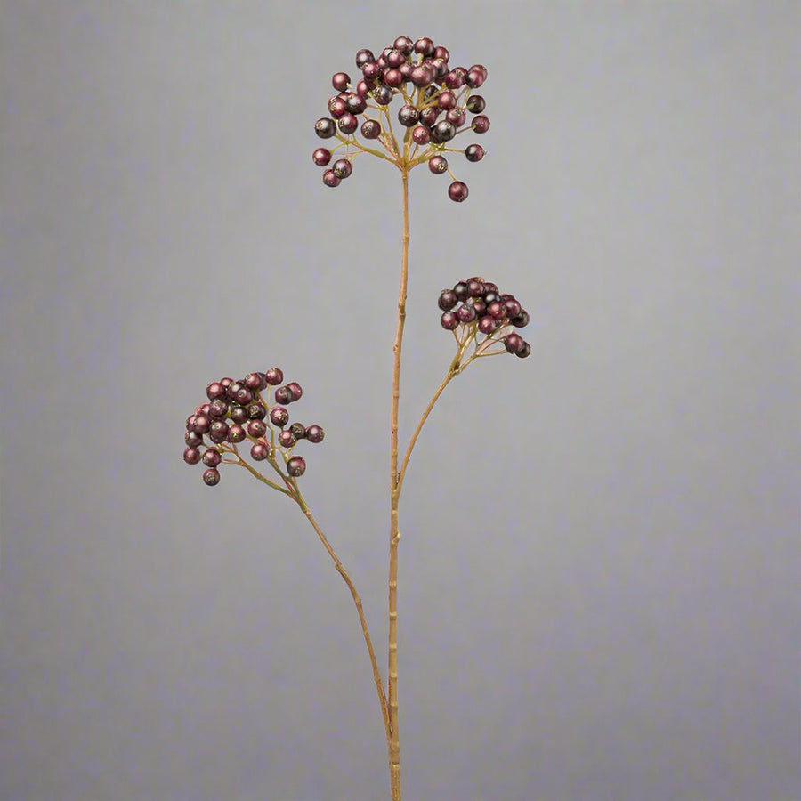 Mű madárberkenye ág padlizsánszínű bogyókkal, szürke háttér előtt