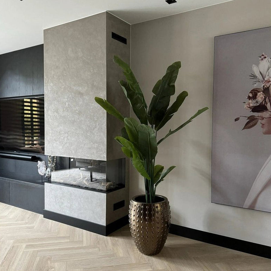 Nagyméretű, elegáns zöld Strelitzia Nicolai mű strelitzia nappaliban