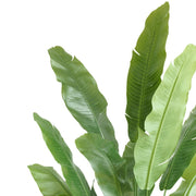 Nagyméretű 195 cm-es strelitzia Nicolai műnövény nappaliban, dekor kaspóban