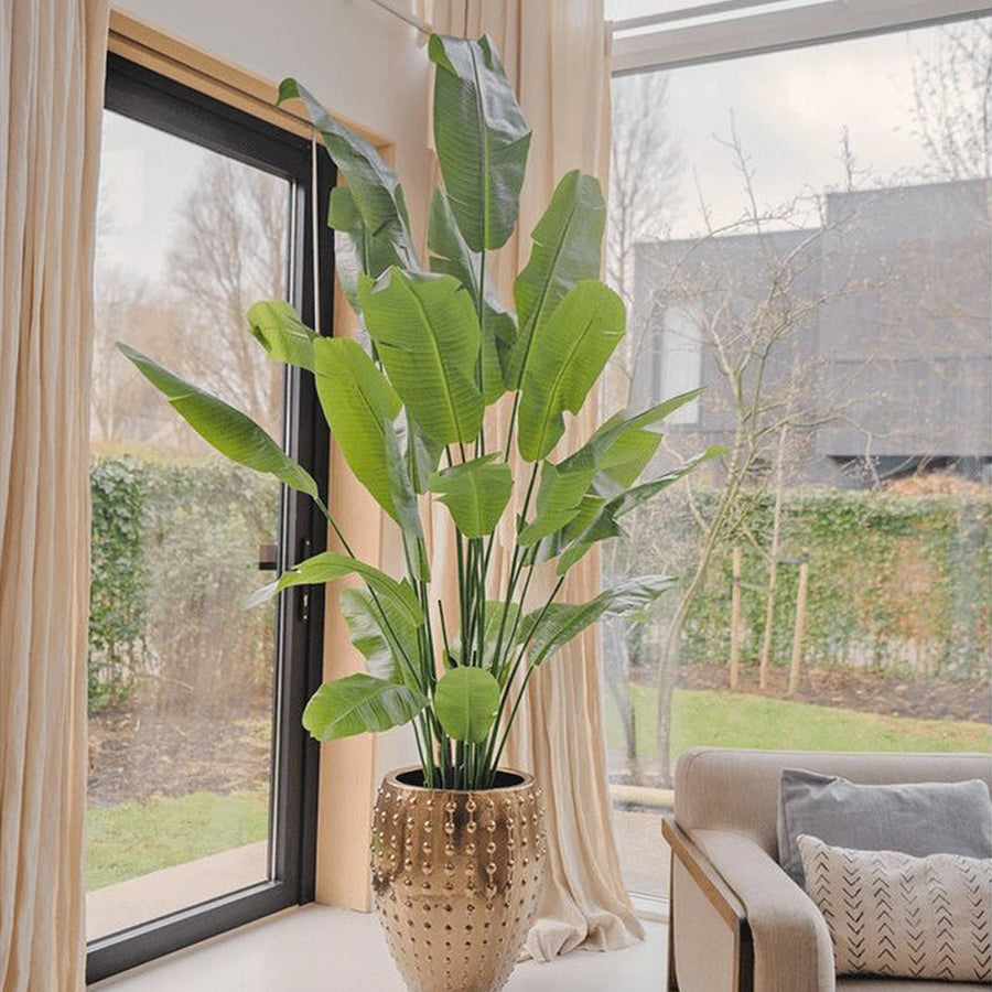 Élethű Strelitzia Nicolai műnövény modern nappaliban, arany kaspóban elhelyezve.