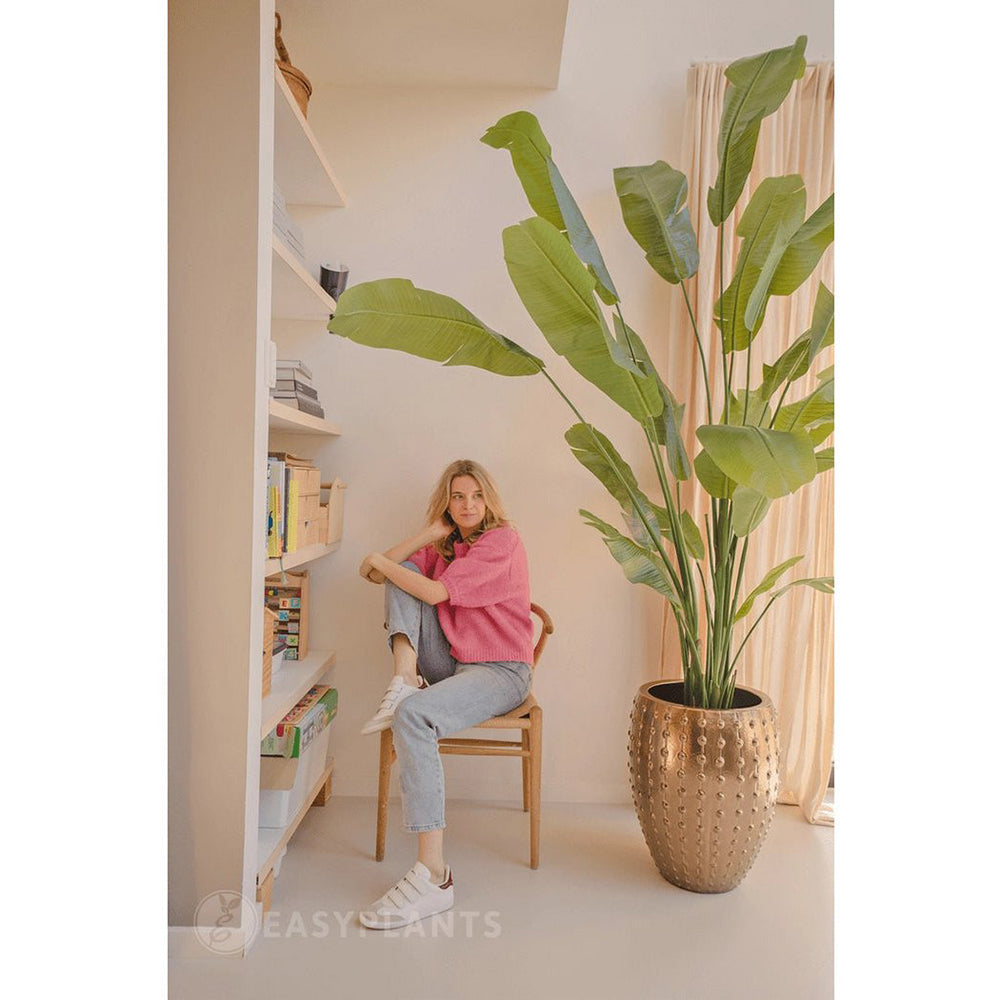Trópusi hangulatot idéző, 215 cm magas mű strelitzia zöld levelekkel.