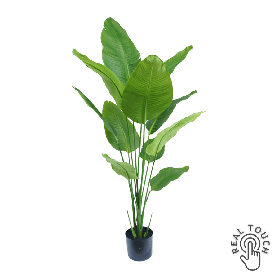 STRELITZIA zöld mű strelitzia 150 cm fekete műanyag cserépben, élethű trópusi hatással