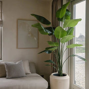 Nagyméretű mű strelitzia növény 180 cm, elegáns dekoráció modern nappaliban.