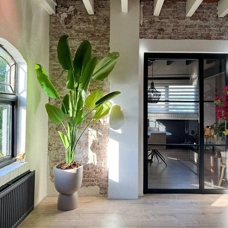 Trópusi hangulatú, óriás strelitzia műnövény nappaliban, elegáns kerámia kaspóban.