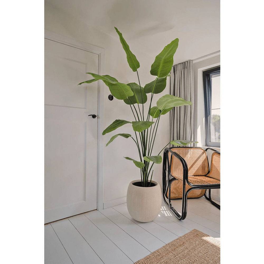 Real Touch hatású strelitzia műnövény modern enteriőrben, világos szobabelsőben elhelyezve.