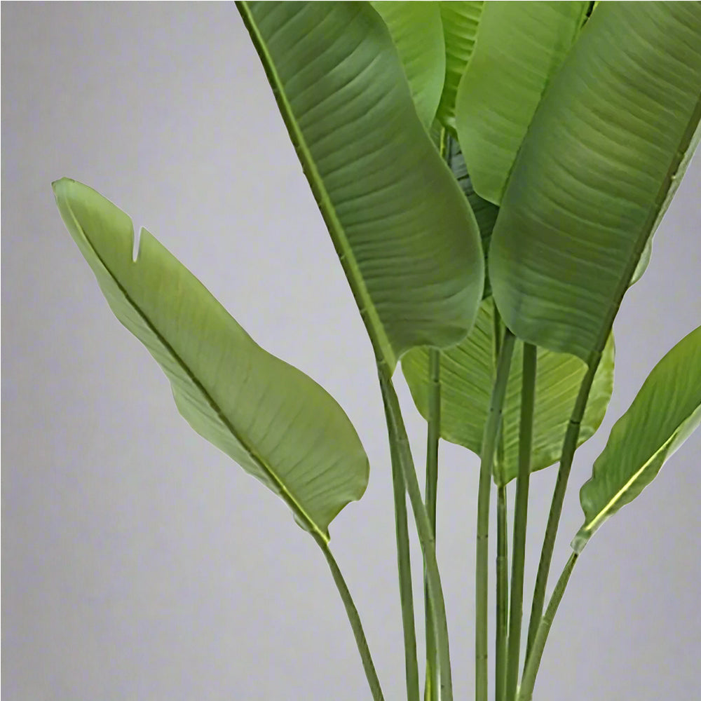 Zöld színű strelitzia műnövény.