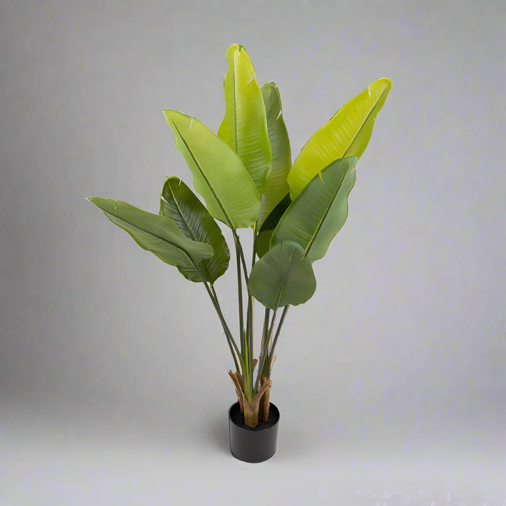 Zöld színű strelitzia műnövény.