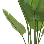 Trópusi hangulatú strelitzia mű növény levelekkel.