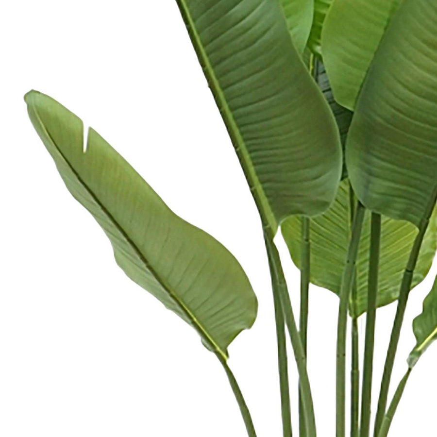 Trópusi hangulatú strelitzia mű növény levelekkel.