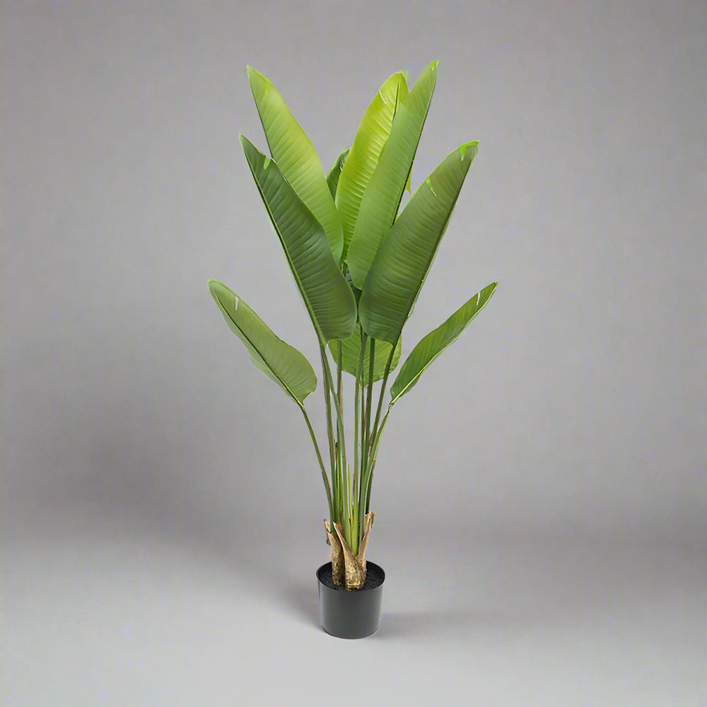Zöld színű strelitzia műnövény.