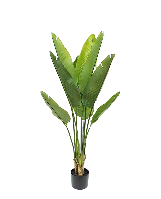 Zöld színű strelitzia műnövény.