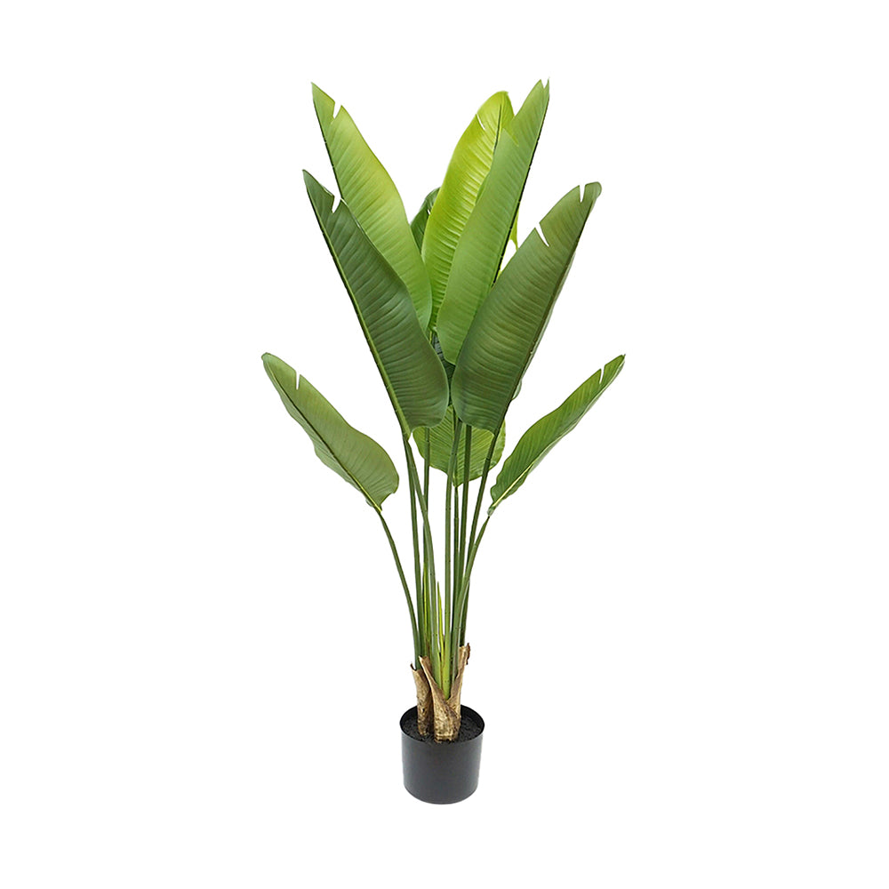 Zöld színű strelitzia műnövény.