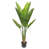 Élethű mű strelitzia növény 110 cm magas, fekete kaspóban.