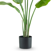 Élethű zöld mű strelitzia 120 cm fekete kaspóban